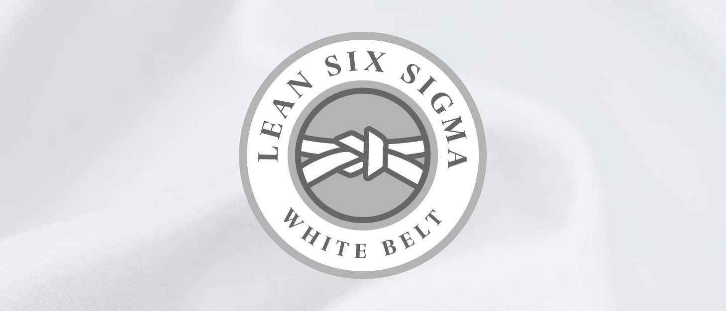 20225_sixsigma_certificate_icons_graphics_700x300_white.jpg__1459x626_q85_crop_subsampling-2_upscale